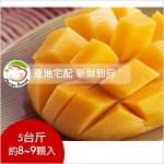 【Mango House蘋果檨 】 吉園圃 愛文芒果禮盒  5台斤(約8-9顆入)