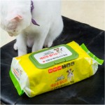 【韓國 DAILY WATER】寵物專用抗菌去味濕紙巾80入x2包
